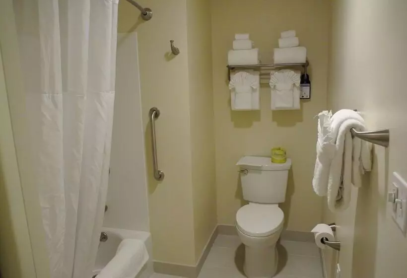 酒店 Best Western Seattle Airport