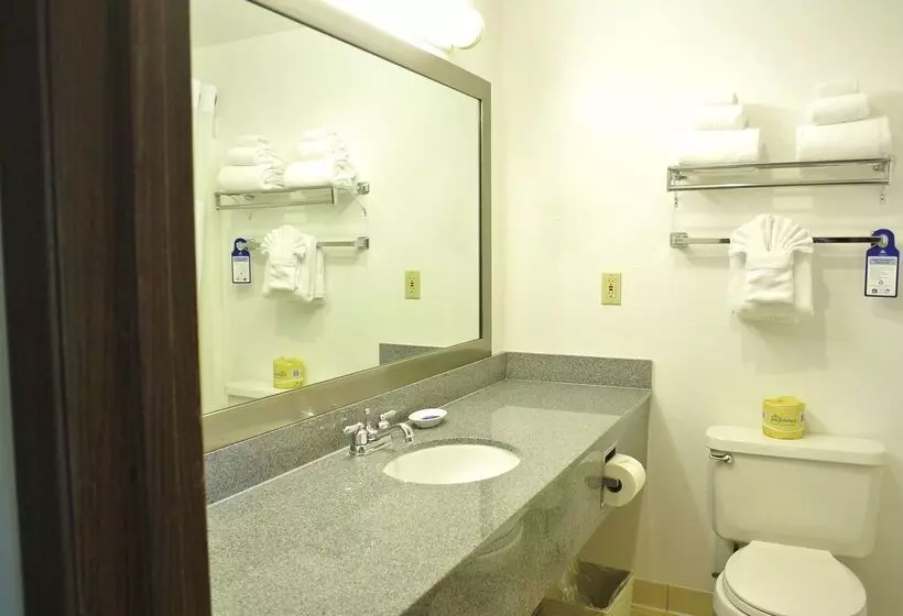 酒店 Best Western Seattle Airport