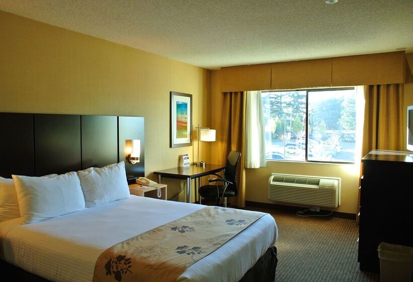 هتل Best Western Seattle Airport