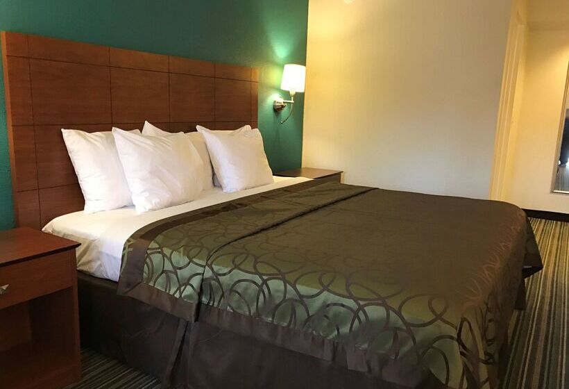 Otel Best Western Tallahasseedowntown Inn And Suites