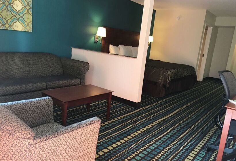 Otel Best Western Tallahasseedowntown Inn And Suites