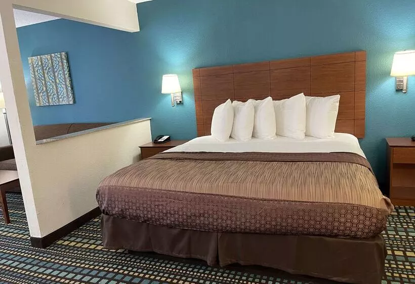 هتل Best Western Tallahasseedowntown Inn And Suites