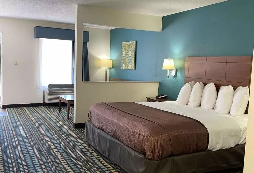 هتل Best Western Tallahasseedowntown Inn And Suites