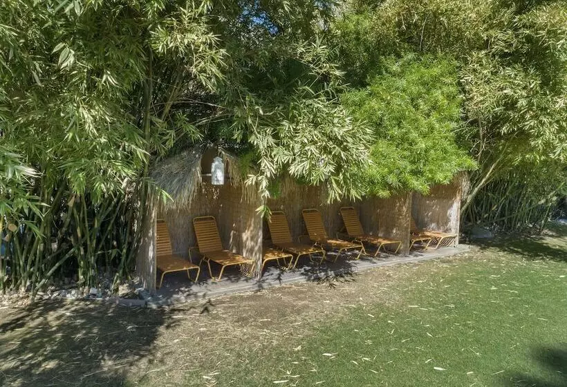 ホテル Caliente Tropics