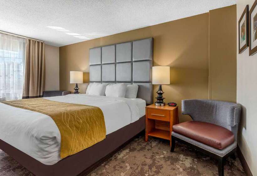 호텔 Comfort Inn & Suites Nashville Near Tanger Outlets I 24 Antioch