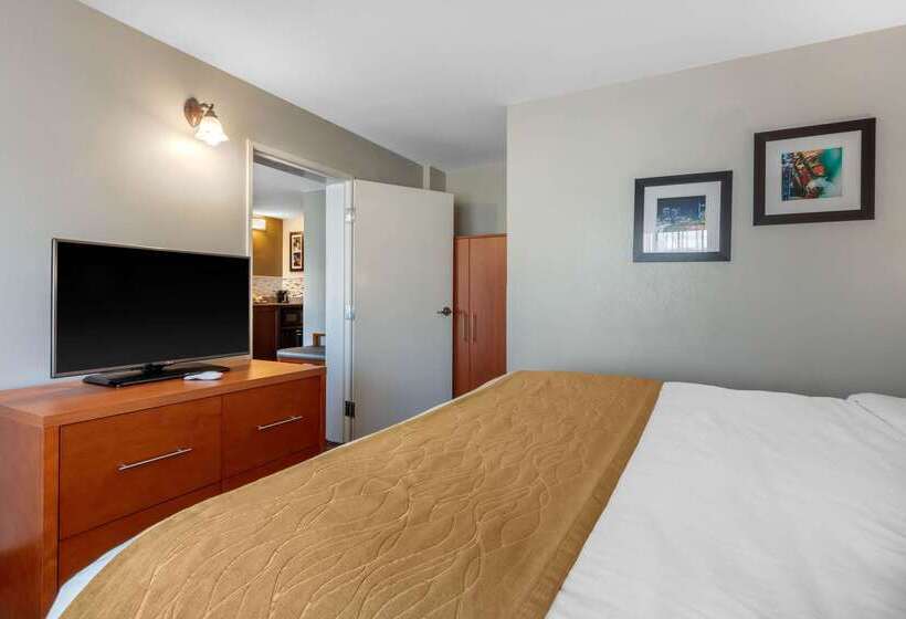 호텔 Comfort Inn & Suites Nashville Near Tanger Outlets I 24 Antioch