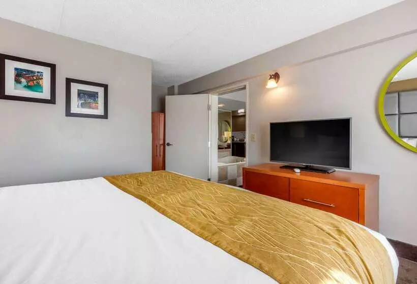 فندق Comfort Inn & Suites Nashville Near Tanger Outlets I 24 Antioch