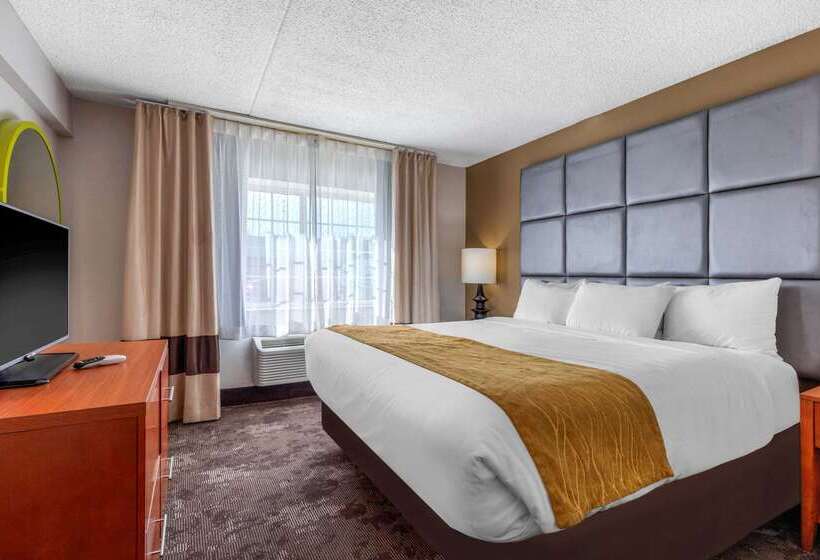 호텔 Comfort Inn & Suites Nashville Near Tanger Outlets I 24 Antioch