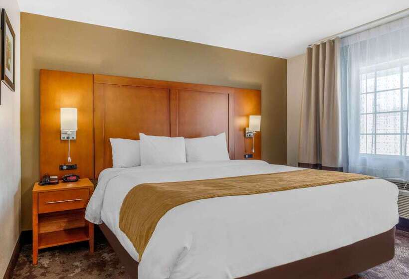호텔 Comfort Inn & Suites Nashville Near Tanger Outlets I 24 Antioch