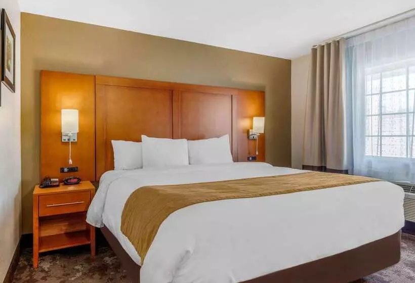 فندق Comfort Inn & Suites Nashville Near Tanger Outlets I 24 Antioch