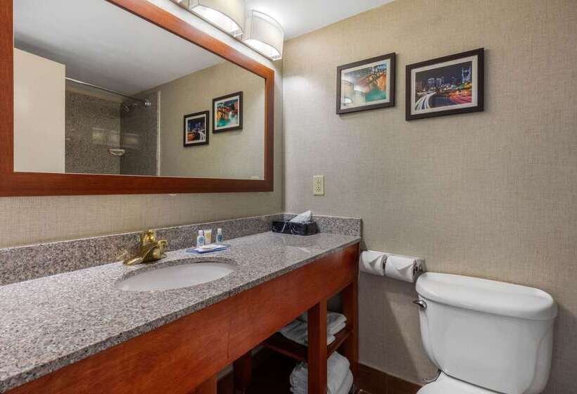 호텔 Comfort Inn & Suites Nashville Near Tanger Outlets I 24 Antioch