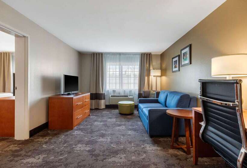 호텔 Comfort Inn & Suites Nashville Near Tanger Outlets I 24 Antioch