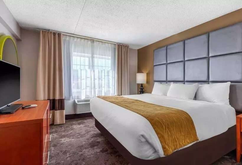 فندق Comfort Inn & Suites Nashville Near Tanger Outlets I 24 Antioch