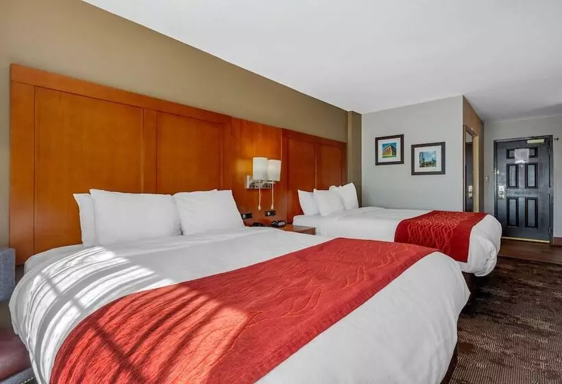 فندق Comfort Inn & Suites Nashville Near Tanger Outlets I 24 Antioch