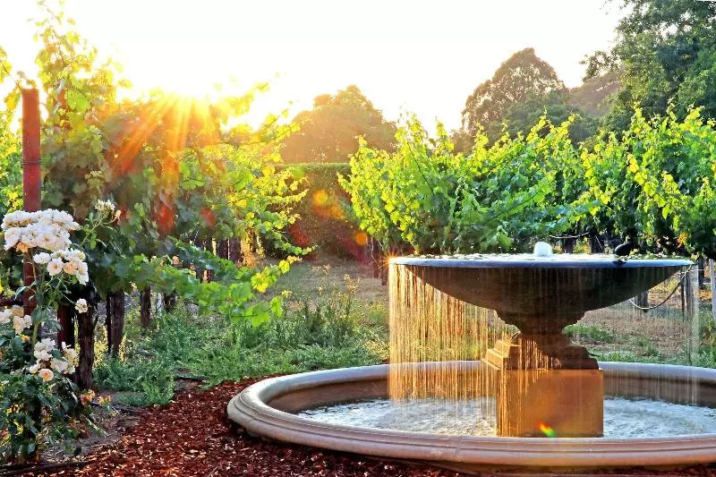 Отель Napa Valley Lodge