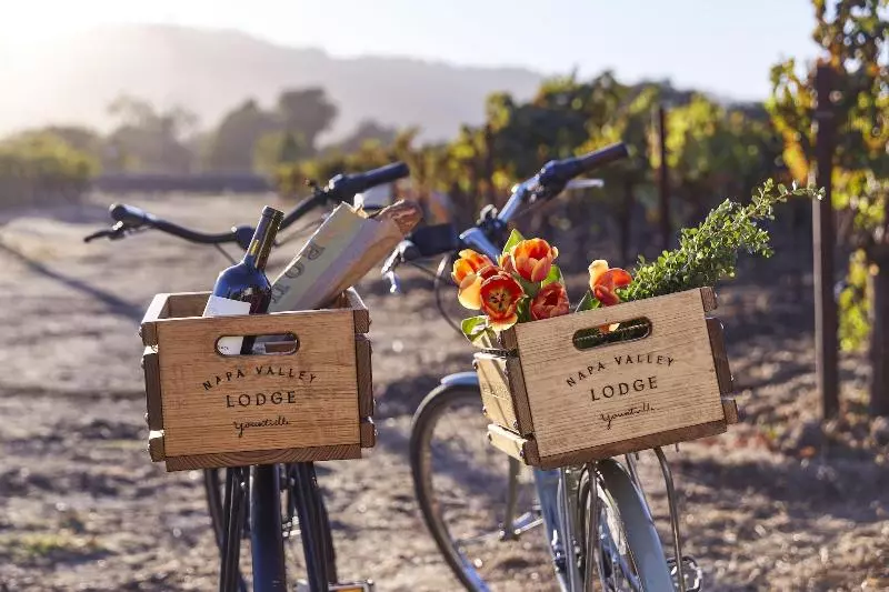 Отель Napa Valley Lodge