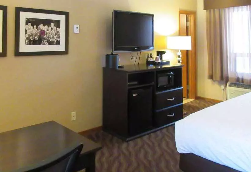 فندق Quality Inn & Suites