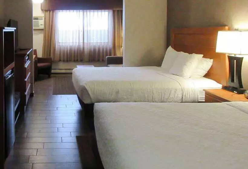 فندق Quality Inn & Suites
