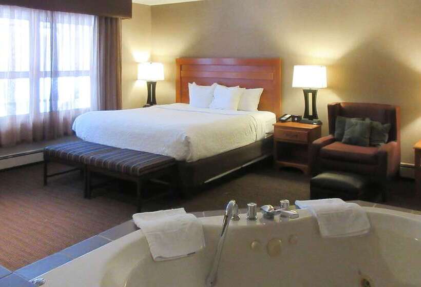 ホテル Quality Inn & Suites