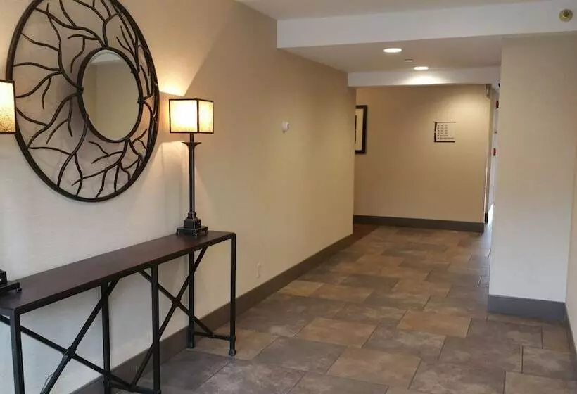 فندق Quality Inn & Suites