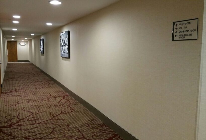 ホテル Quality Inn & Suites