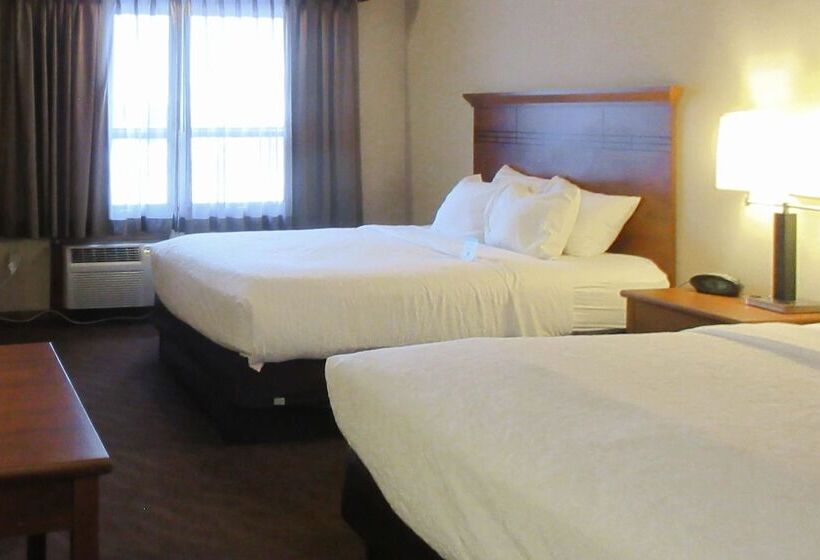 ホテル Quality Inn & Suites