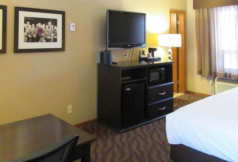 ホテル Quality Inn & Suites