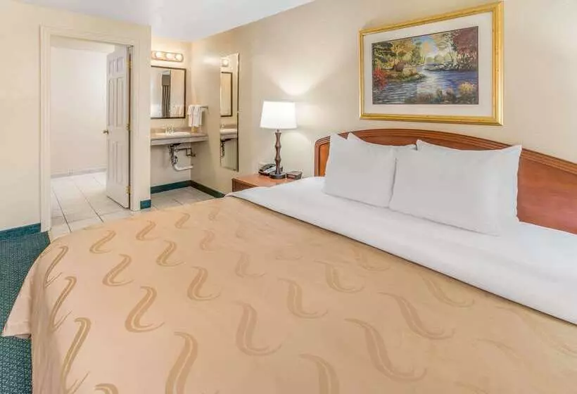 Отель Quality Inn & Suites Downtown