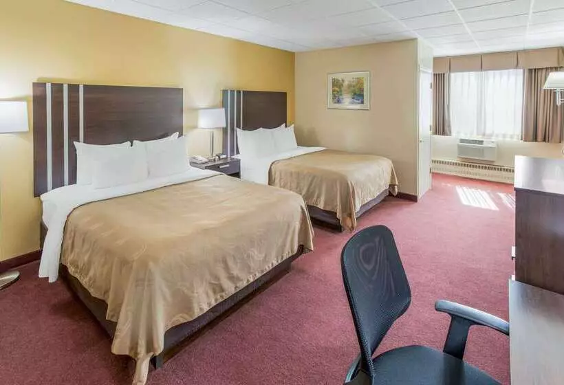 Отель Quality Inn & Suites Downtown