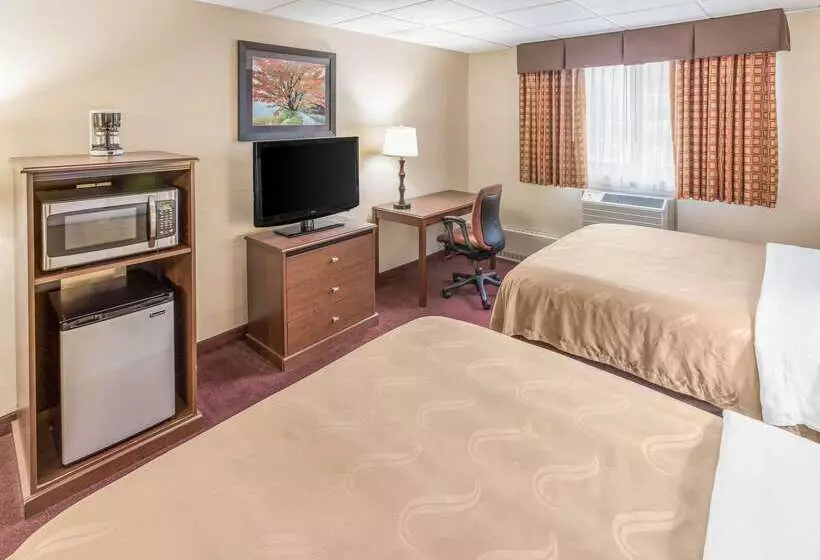 Отель Quality Inn & Suites Downtown