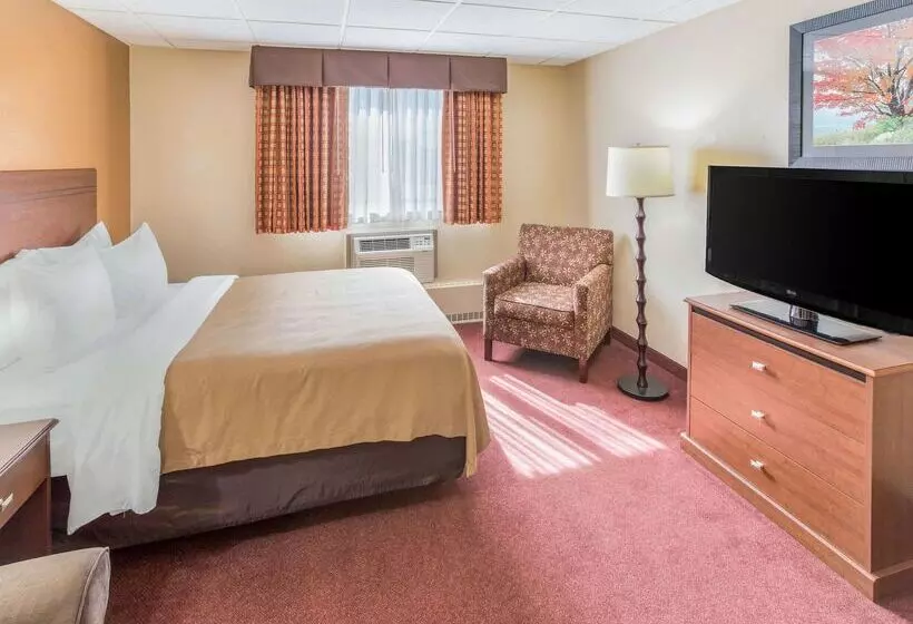 Отель Quality Inn & Suites Downtown