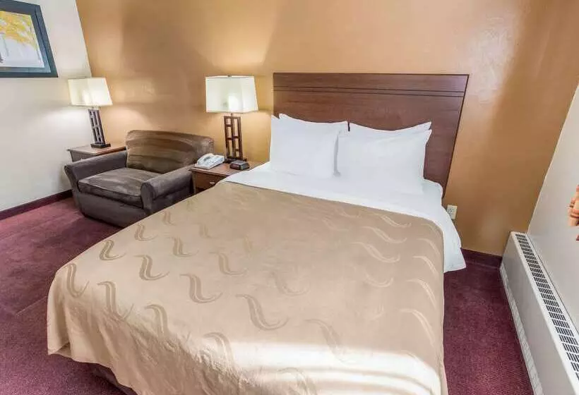 Отель Quality Inn & Suites Downtown