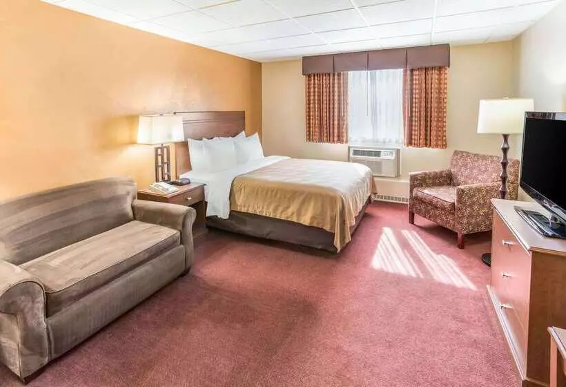 Отель Quality Inn & Suites Downtown