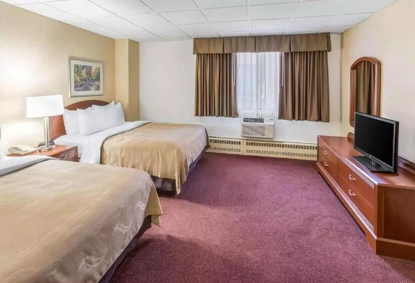 Отель Quality Inn & Suites Downtown