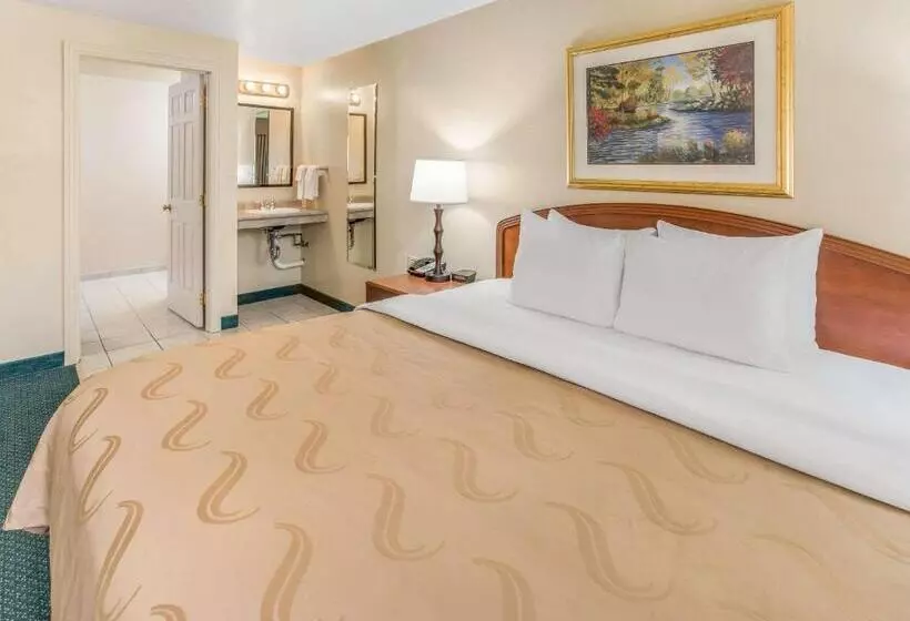 Отель Quality Inn & Suites Downtown