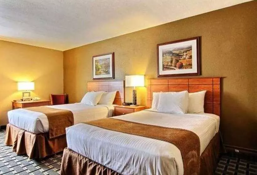 فندق Quality Inn