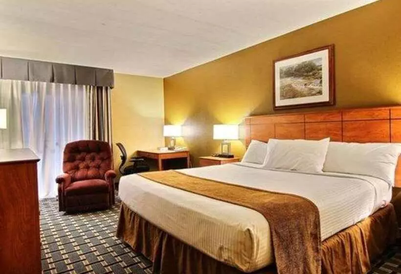 فندق Quality Inn