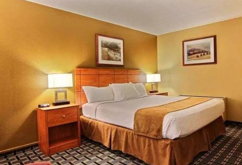 فندق Quality Inn