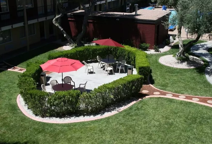 Mardi Gras Hotel & Casino