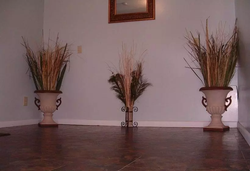 فندق على الطريق Budget Host Inn