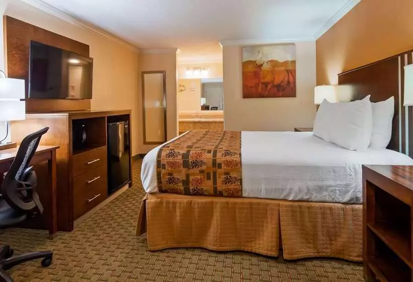 호텔 Best Western Skyline Motor Lodge