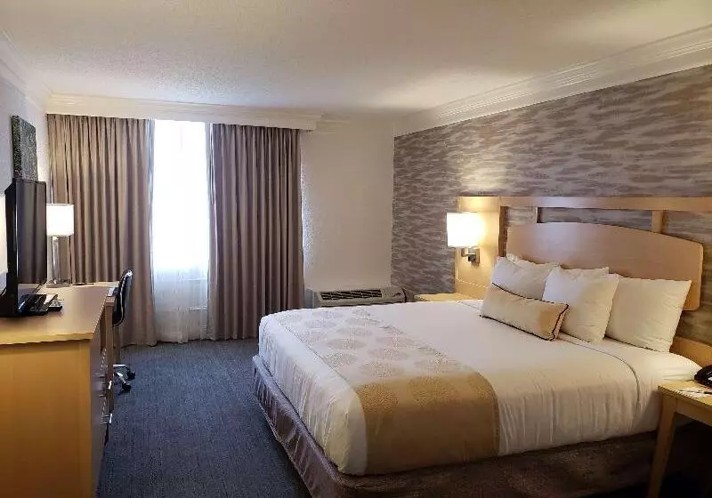 호텔 Best Western Skyline Motor Lodge