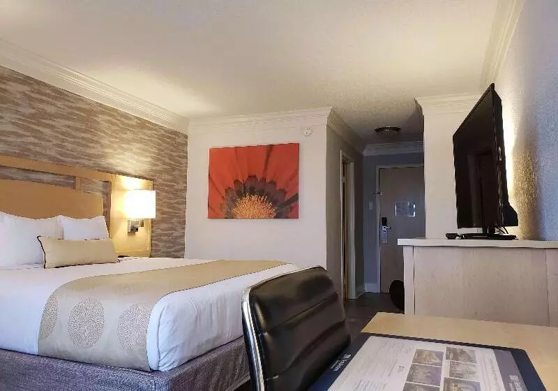 호텔 Best Western Skyline Motor Lodge