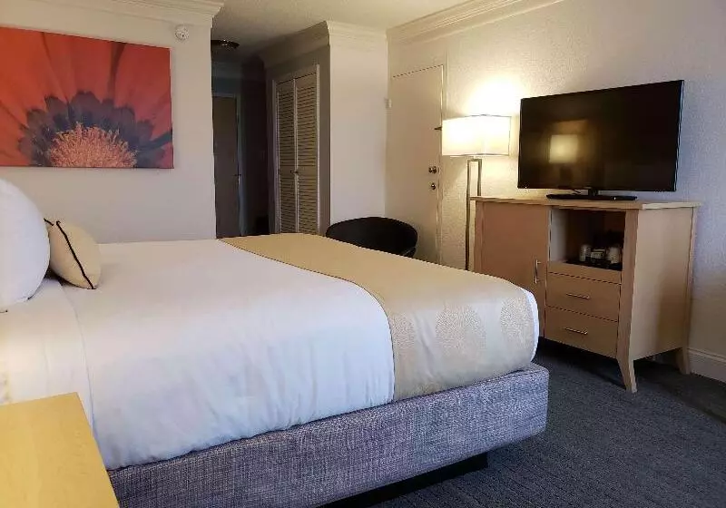 호텔 Best Western Skyline Motor Lodge