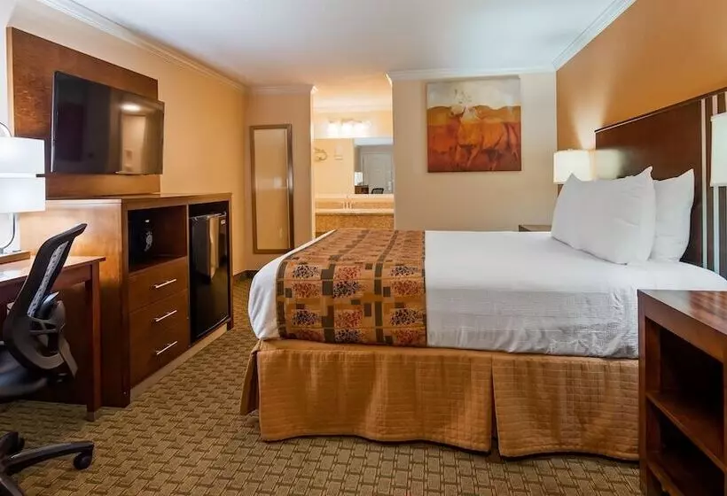 호텔 Best Western Skyline Motor Lodge