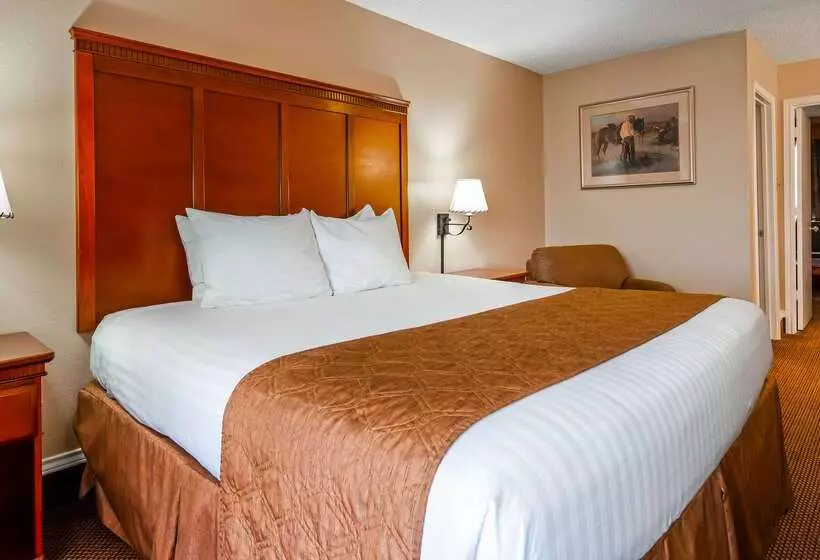 酒店 Red Roof Inn & Suites Sulphur Springs