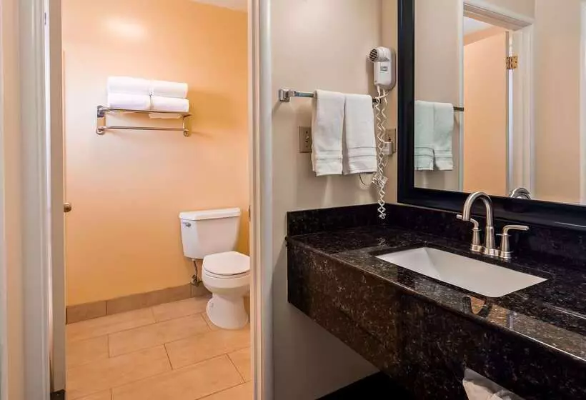 ホテル Best Western Vista Manor Lodge