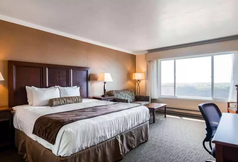 ホテル Best Western Vista Manor Lodge