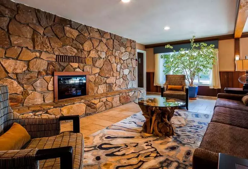 ホテル Best Western Vista Manor Lodge