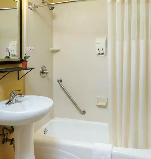 酒店 Carlton Inn Midway